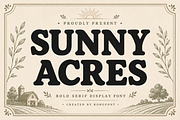 Sunny Acres - Bold Serif Font, a Serif Font by overlaytemplates (Thumbnail 1 of 5)