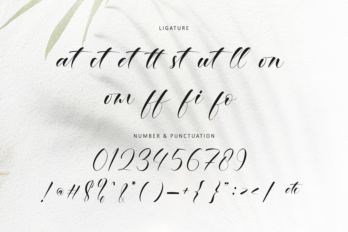 Ethereal Handwritten, a Script Font by Letterara (Photo 11 of 13)