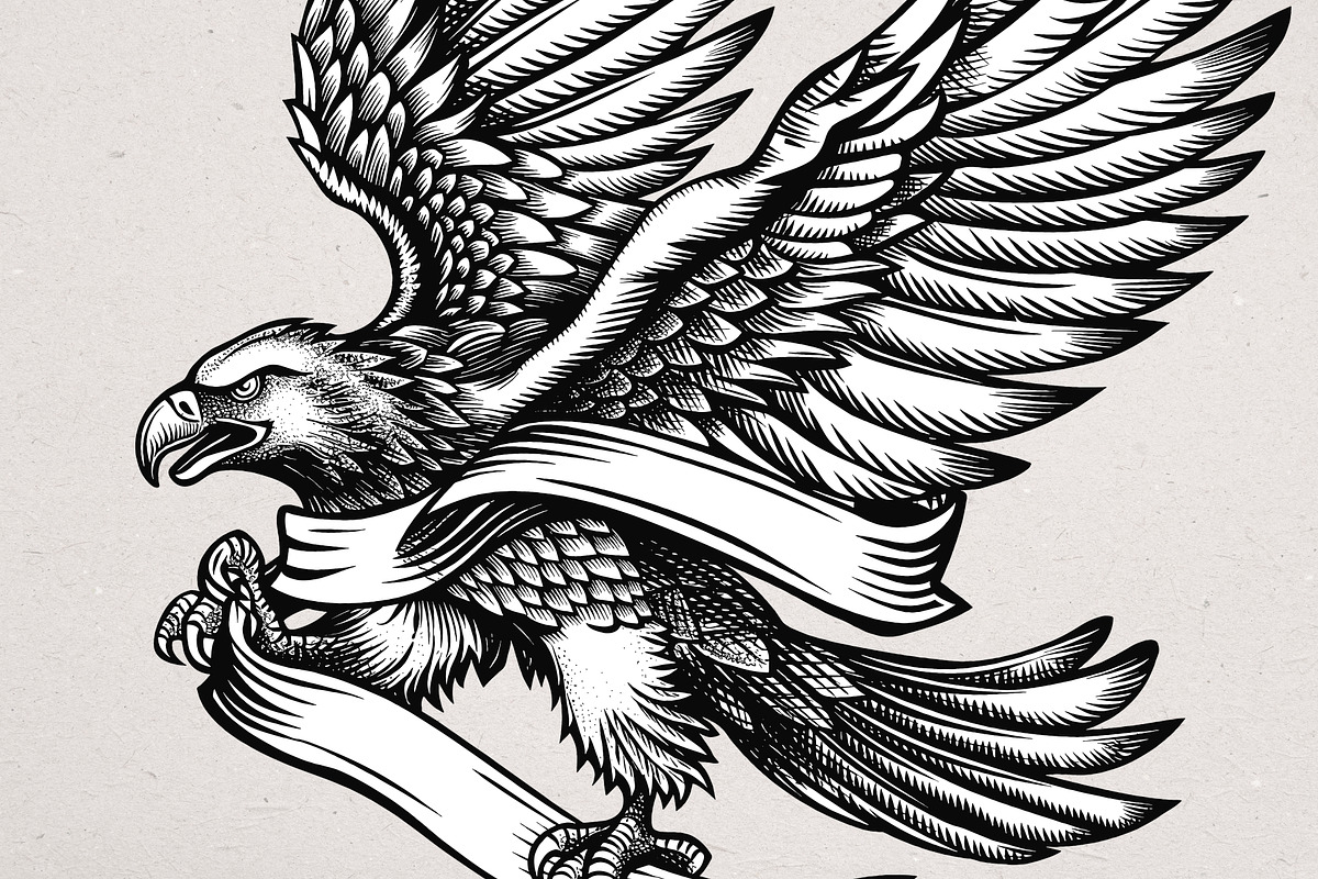 36 Eagle Vector Illustrations, an Animal Illustration by Alternate Studio (Photo 3 of 7)
