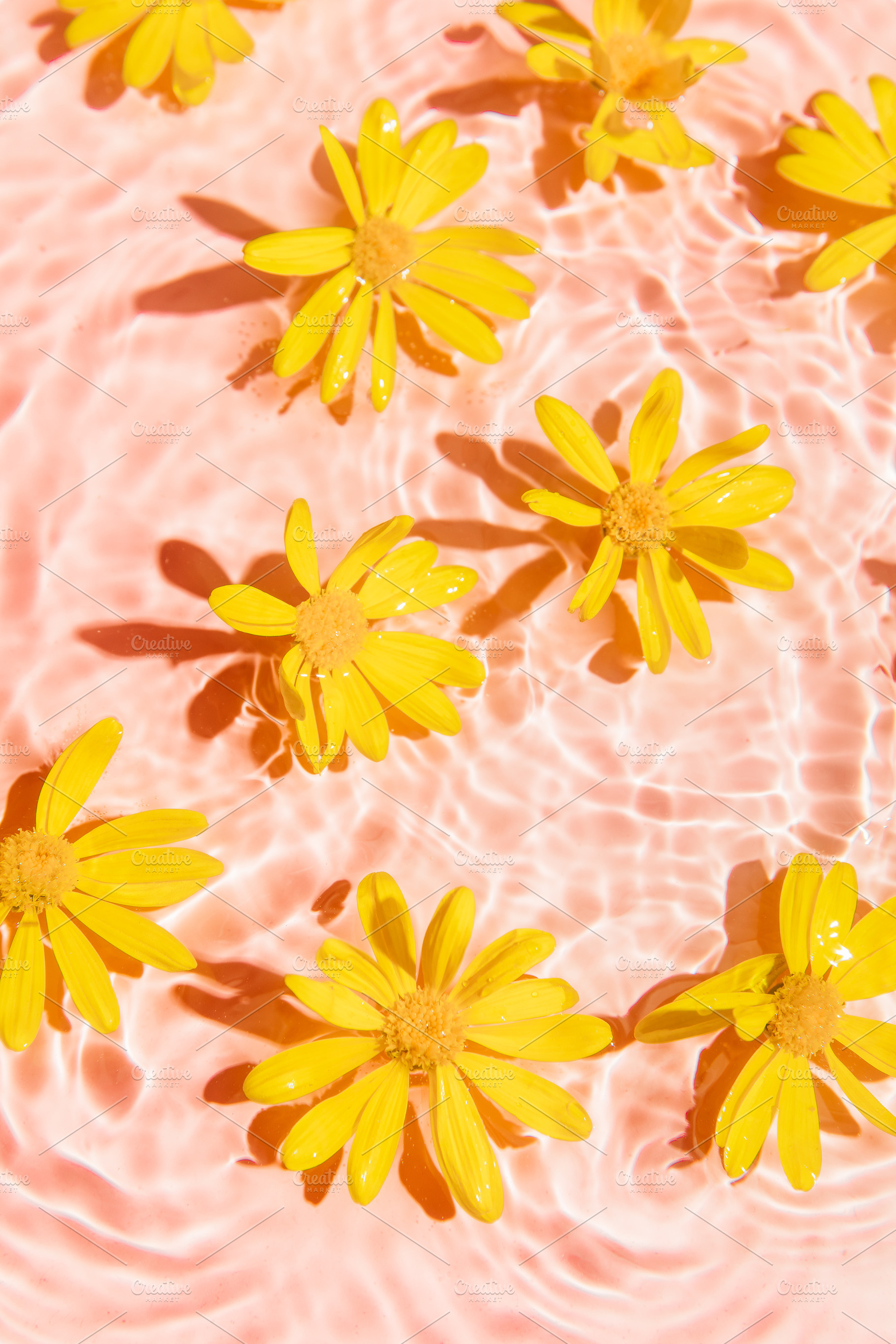 Yellow daisy in pink pool water, a Nature Photo by Munopia