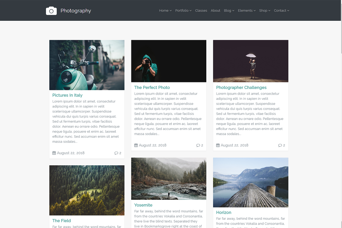 Photography Gallery WordPress Theme, a WordPress Template by Visualmodo (Photo 19 of 21)