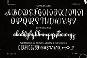 Cardinal, a Handwritten Font by FreshTypeINK (Thumbnail 7 of 8)