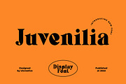 Juvenilia Modern Display Serif Font, a Serif Font by UICreative (Thumbnail 1 of 13)