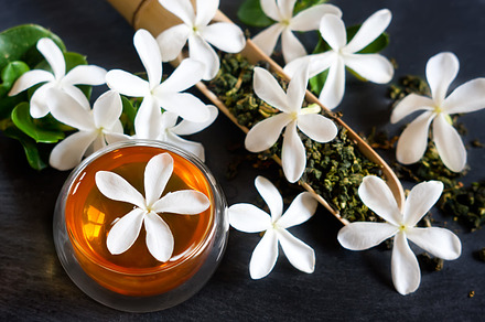 Jasmine tea stock photo containing drink and flower
