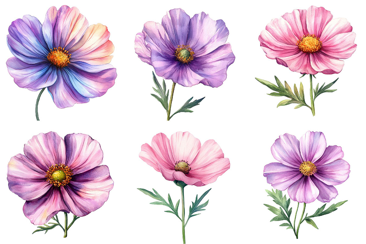 Watercolor Spring Cosmos Flower Clip, a Texture Illustration by DreamPrint404 (Photo 7 of 7)