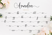 Amadea Script, a Script Font by Nissa Studio (Thumbnail 12 of 12)