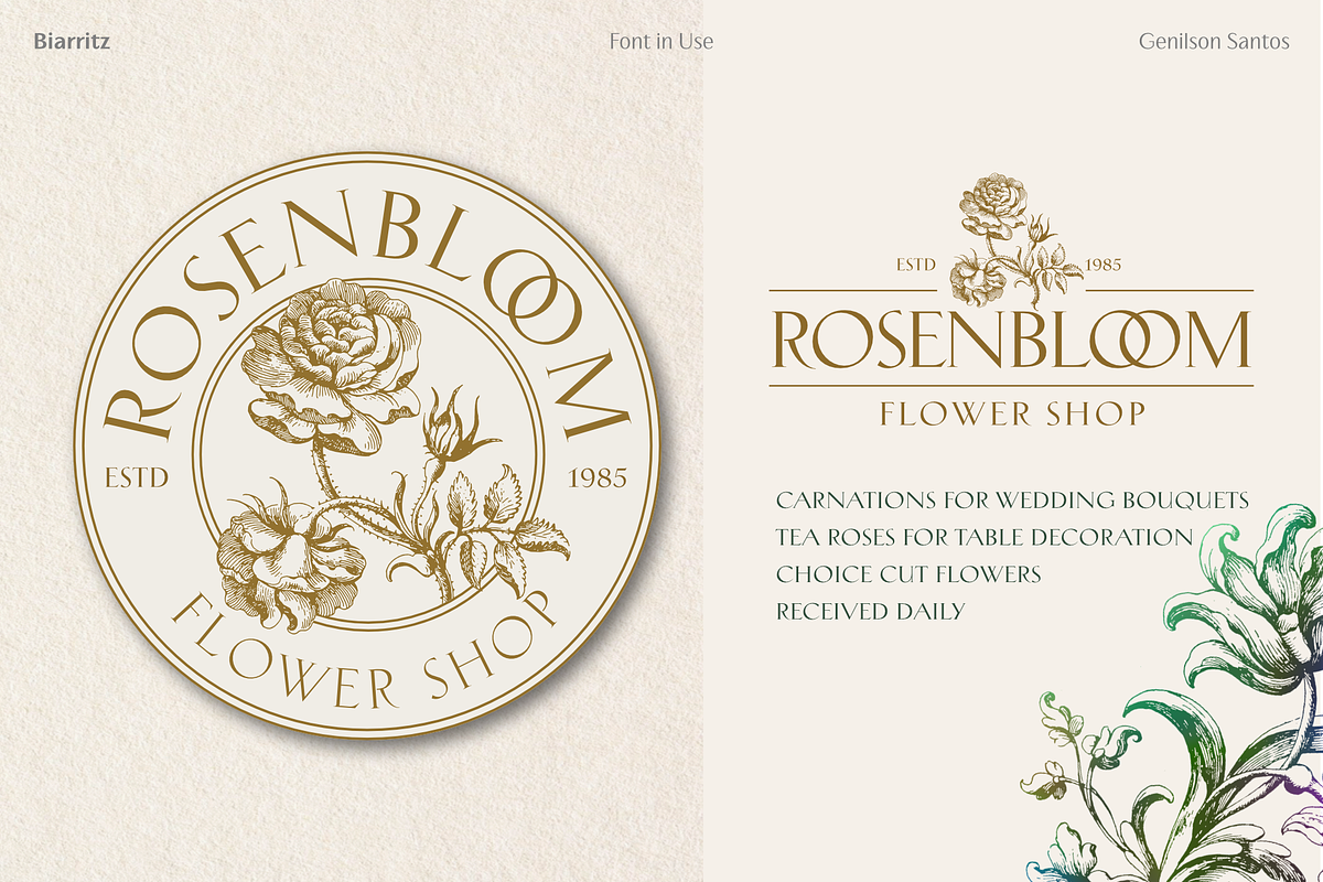 Biarritz Luxury Editorial Serif, a Serif Font by Genilson Santos (Photo 10 of 17)