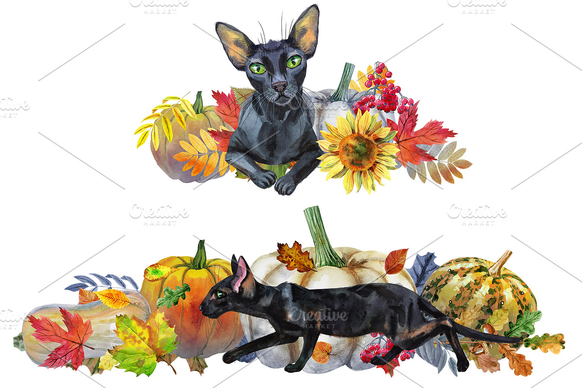Black cats and pumpkins, an Animal Illustration by Watercolor fantasy (Photo 4 of 4)