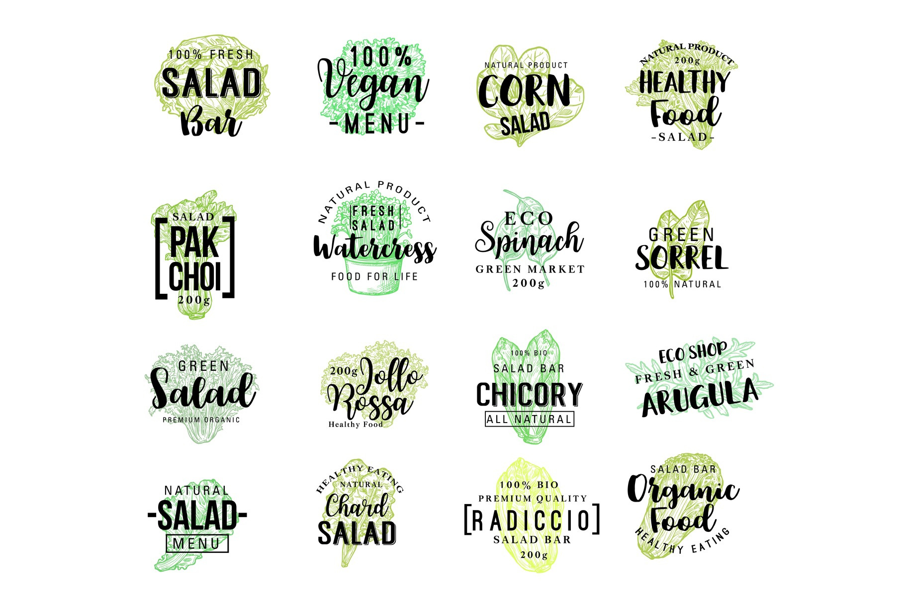 Salads vegetables vector lettering, a Food Illustration by Vector Tradition