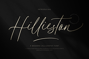 Hillieston Elegant Wedding Font, a Script Font by DzikrulAulia (Thumbnail 1 of 10)