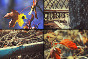 28 autumn nature photo pack, a Nature Photo by pictures for you (Thumbnail 6 of 7)