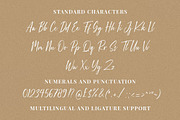 Vienetta Luxury Font Script, a Script Font by UInstrument (Thumbnail 7 of 12)