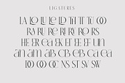 VERNICE LEMANS, a Serif Font by NYDESIGN (Thumbnail 8 of 10)