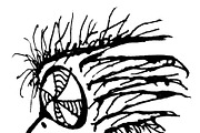 Alien monster animal hand drawn isolated illustration, an Animal Illustration by DanFLCreativo (Thumbnail 2 of 2)