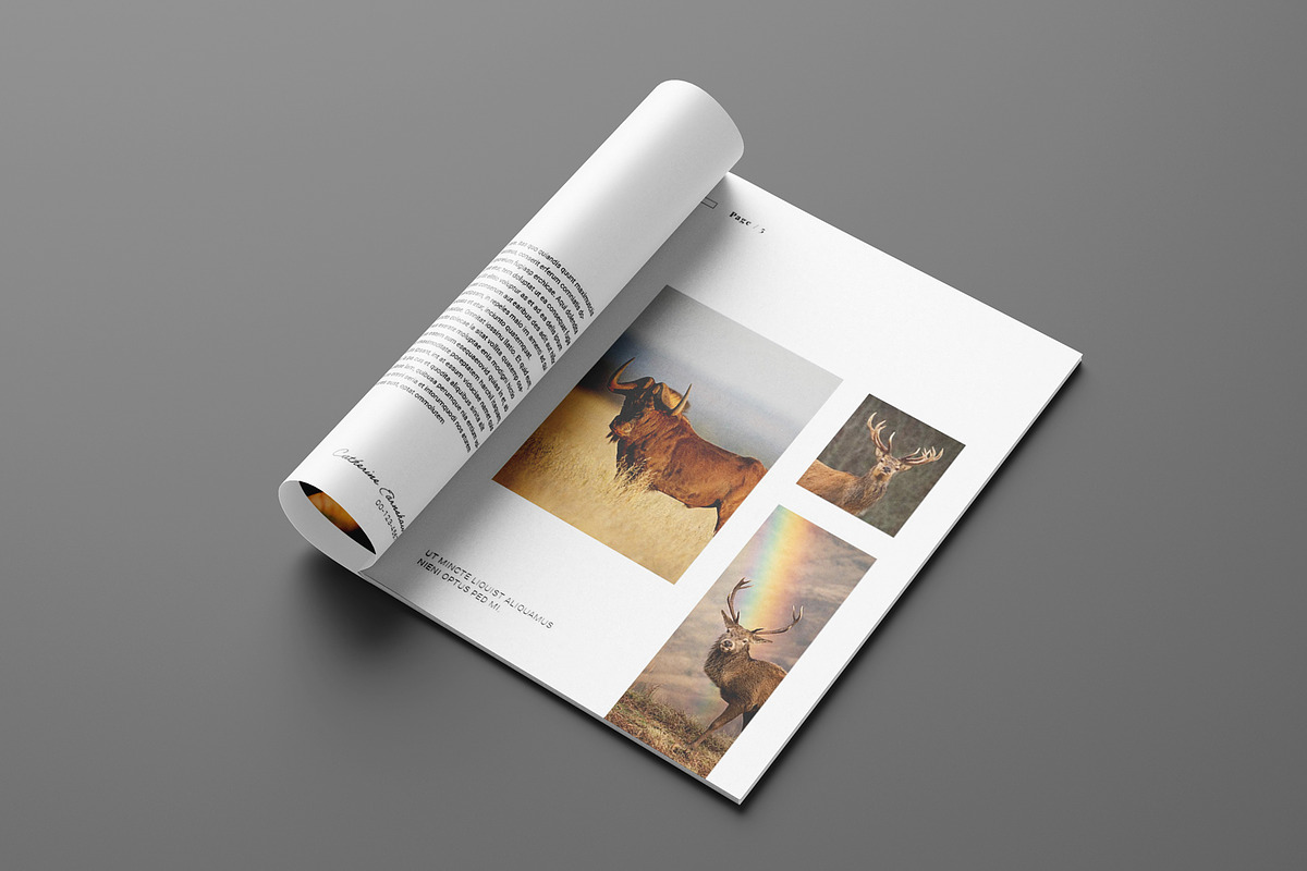 Portfolio Brochure Layout, a Brochure Template by Seeing-art (Photo 3 of 11)