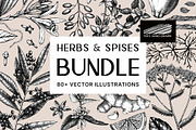 BUNDLE - Vector Herbs & Spices, a Food Illustration by Yevheniia (Thumbnail 1 of 12)