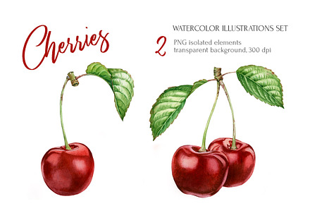 Cherry Branch Watercolor Set