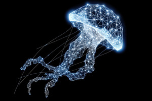 Jellyfish in digital space, a Photo by Beautiful things