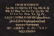 Rinova || Modern Vintage Serif Font, a Serif Font by Ermedia Studio (Thumbnail 10 of 10)