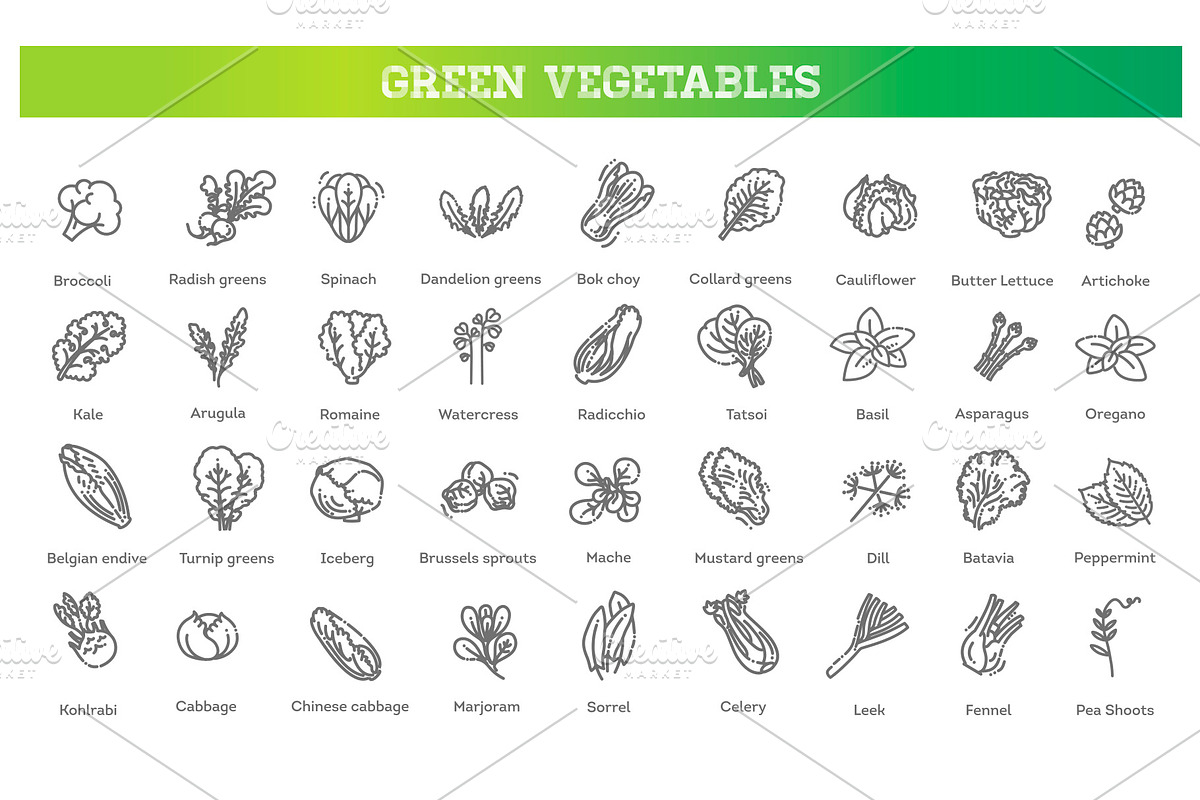 Green Salad Leaves. Vector icons, a Food Illustration by Tettygreen (Photo 1 of 3)