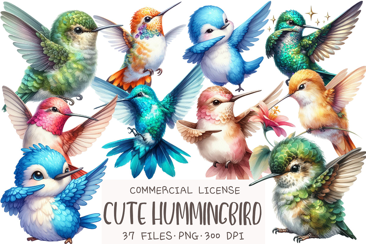 Cute Hummingbird Clipart, an Illustration by OK Design (Photo 1 of 5)