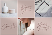 Wellyon Script signature, a Script Font by alit design (Thumbnail 2 of 15)