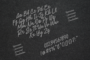 Steve Buck – Handwritten Script Font, a Script Font by overlaytemplates (Thumbnail 4 of 5)