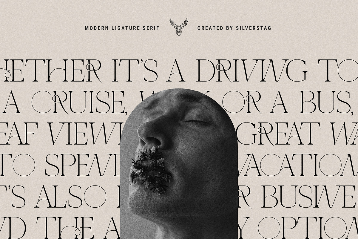 THE FRENCH KISS ROYAL TYPEFACE, a Serif Font by SilverStag Type Foundry (Photo 16 of 23)