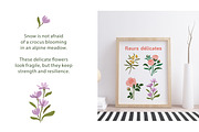 Spring seamless patterns & elements, a Pattern Graphic by Alenkakarabanova (Thumbnail 3 of 8)