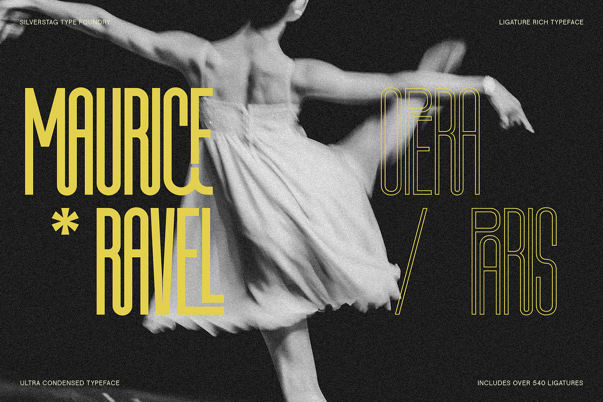 First Contact - 16 Fonts in One Pack, a Sans Serif Font by SilverStag Type Foundry (Photo 23 of 30)