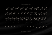 Hamedory Dumbless Modern Calligraphy, a Script Font by Denustudios (Thumbnail 11 of 12)