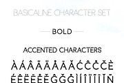 Basicaline Font Family - Sans Serif, a Sans Serif Font by RC graphics (Thumbnail 15 of 21)