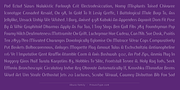 Ebura PRO, a Sans Serif Font by preussTYPE (Thumbnail 8 of 10)