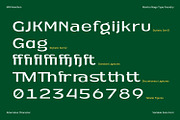 MN Newthon - Versatile Variable Font, a Sans Serif Font by Mantra Naga (Thumbnail 8 of 20)