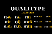 Qualitype Variable Family, a Serif Font by BULENT YUKSEL (Thumbnail 8 of 14)