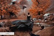 Bird Overlays Photoshop, a Plug-in Add-On by FixThePhoto (Thumbnail 7 of 32)