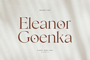 Eleanor Goenka Classic Serif Font, a Serif Font by UICreative (Thumbnail 1 of 13)