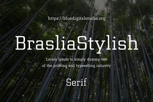 Brasilia Stylish Serif Font