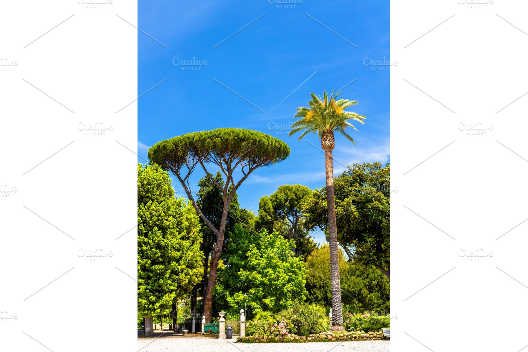 Tropical trees on piazzale napoleone i in rome containing palm, rome, and, an Architecture Photo by Leonid Andronov
