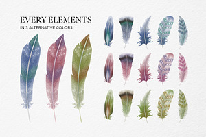 Feathers Watercolor Clipart