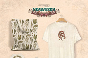 Seaweeds, an Object Illustration by Ink Stories (Thumbnail 4 of 24)
