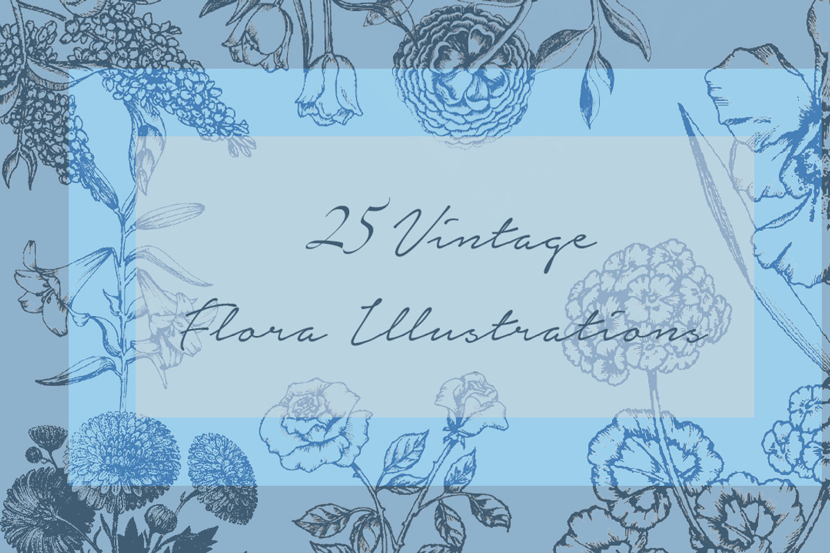 25 Vintage Flora Illustrations, an Illustration by Alpha Mike Foxtrot (Photo 1 of 5)