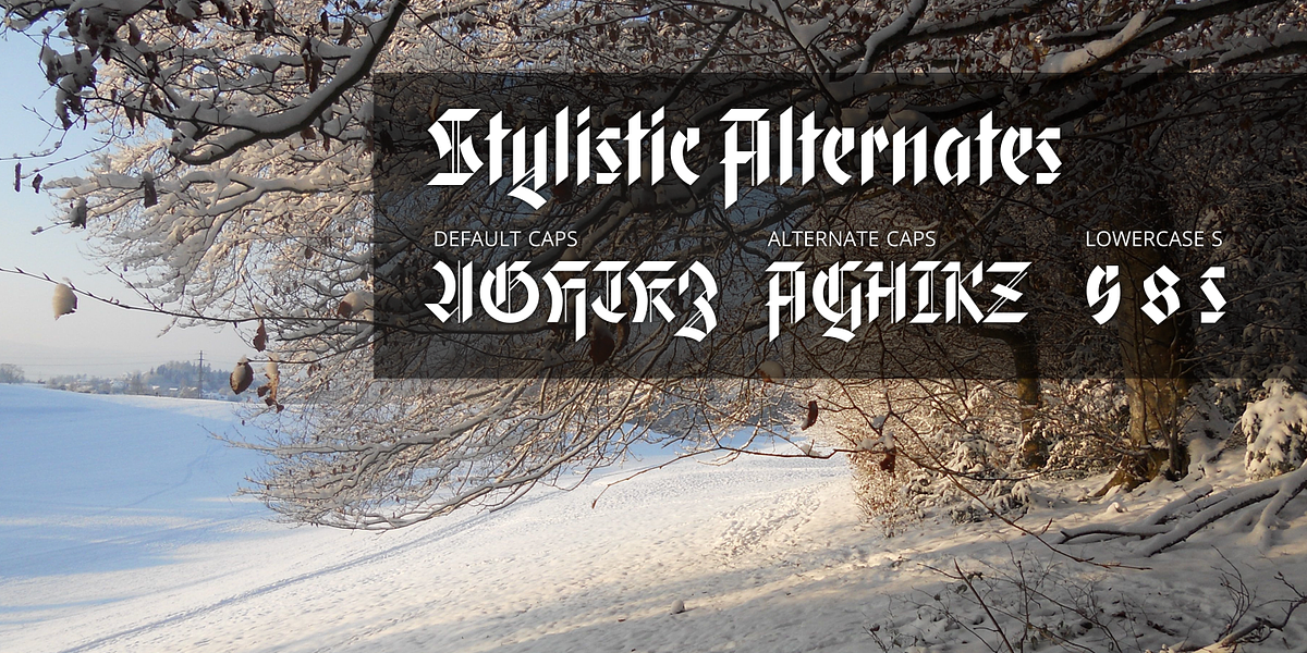 Gryffensee, a Blackletter Font by Catharsis Fonts (Photo 4 of 9)