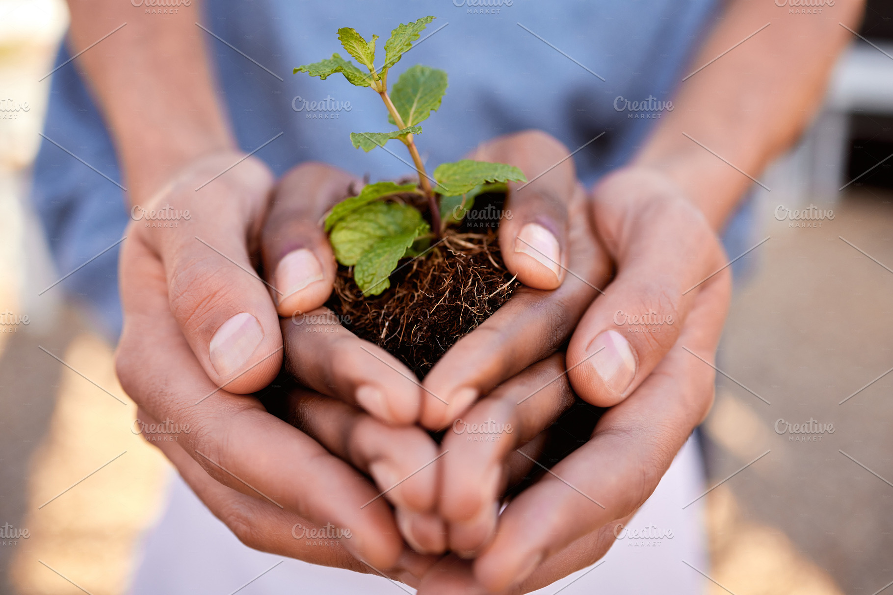 Plants, hands and people in teamwork, community and earth day for support, sustainability and climate change. Closeup, growth and holding soil, sand and spring leaf in nature, environment ngo or hope, a Photo by Peopleimages.com