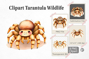 Watercolor Clipart Tarantula Wildlif, a Graphic by Artnoy