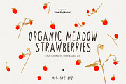 Organic Meadow Strawberries, an Object Graphic by line & plane (Thumbnail 1 of 7)