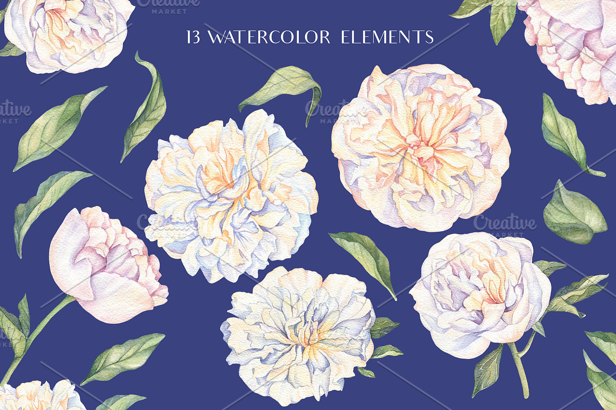 White Peonies-Watercolor Set, a Decorative Illustration by Irina Diasli (Photo 2 of 10)