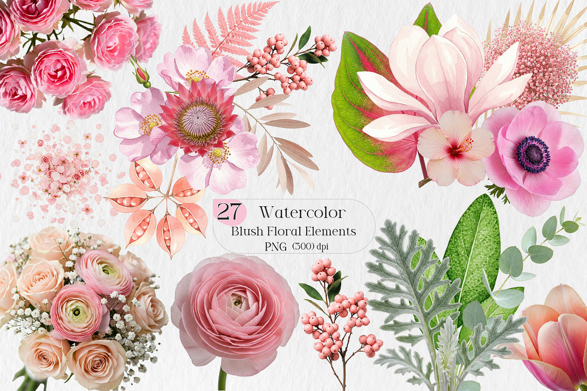 Blush Watercolor Floral Elements, an Illustration by Creative Art (Photo 1 of 9)