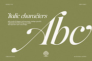 The Andalucia Serif, a Serif Font by Pista Mova (Thumbnail 3 of 26)