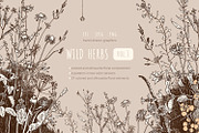 Wild Herbs, an Illustration by julianaapina (Thumbnail 1 of 7)